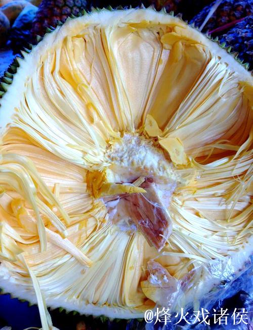 菠萝蜜午夜视频背后的奇幻世界揭秘